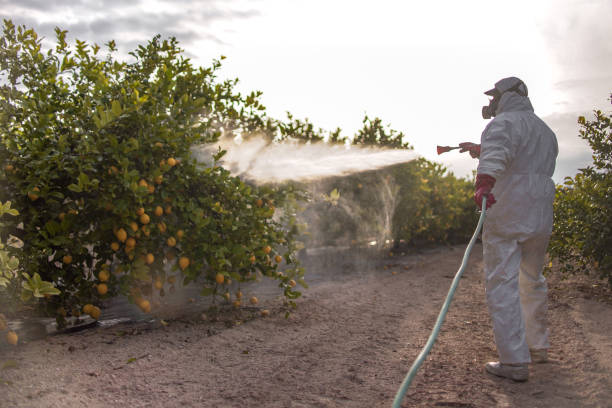 Best Insect Control  in St Anthony, MN