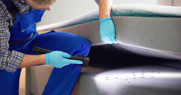 Best Ant Control Services  in St Anthony, MN