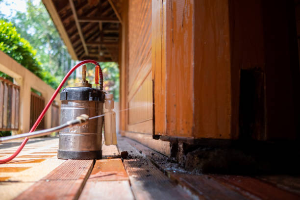 Best Cockroach Control Services  in St Anthony, MN