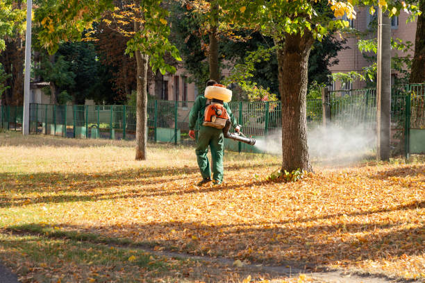 Best Wildlife Control Services  in St Anthony, MN